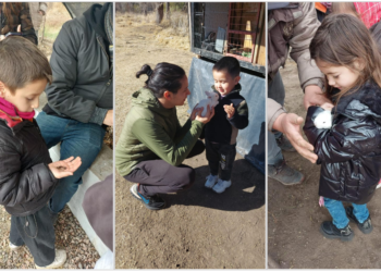 La Granja Integral Agroecológica en Cruz de Piedra, una interesante experiencia para niños y familias en estas vacaciones