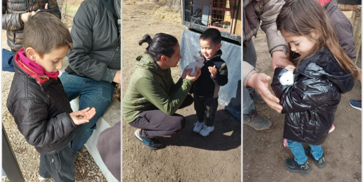 La Granja Integral Agroecológica en Cruz de Piedra, una interesante experiencia para niños y familias en estas vacaciones