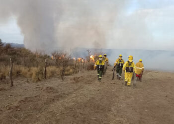 Controlaron el incendio en cercanías de Donovan