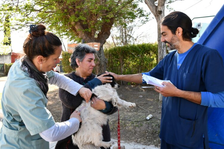 Comenzó una nueva campaña de vacunación antirrábica