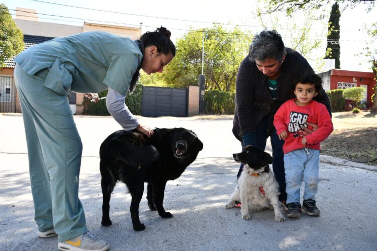 Comenzó una nueva campaña de vacunación antirrábica