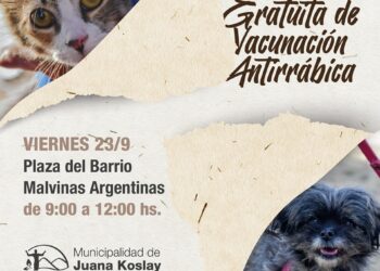 Continúa la Campaña Gratuita de Vacunación Antirrábica