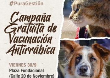 La Plaza Fundacional será lugar para otra jornada de vacunación antirrábica