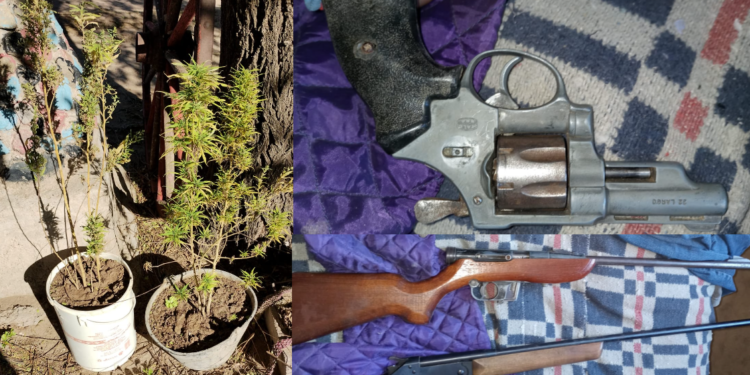 Secuestraron plantas de marihuana, armas y elementos robados en la localidad de Dónovan
