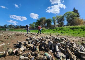 Plan Integral de Mantenimiento de Peridiques: Intensos trabajos en el Dique Cruz de Piedra