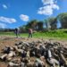 Plan Integral de Mantenimiento de Peridiques: Intensos trabajos en el Dique Cruz de Piedra