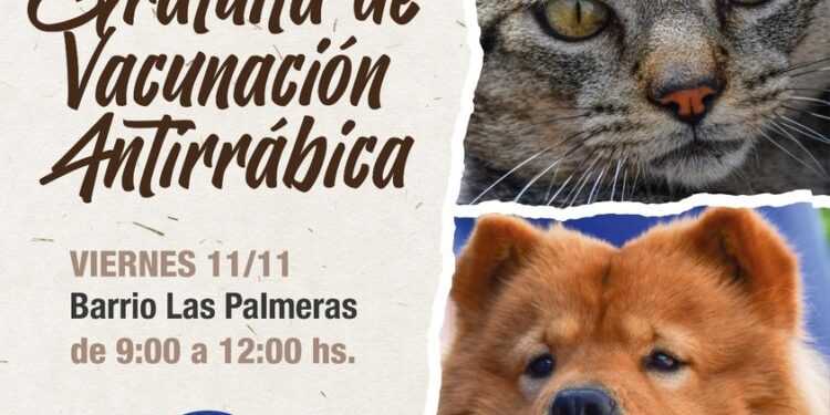 Sigue la campaña de vacunación gratuita para mascotas