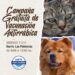 Sigue la campaña de vacunación gratuita para mascotas