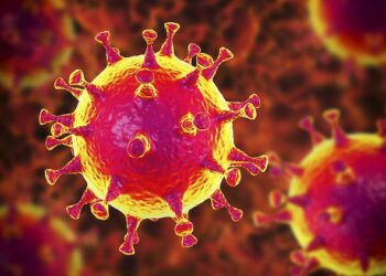Coronavirus: se registraron 146 casos y hubo 2 muertes en la provincia