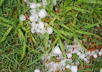 Llovió y cayó piedra en Juana Koslay, Potrero de los Funes, y El Trapiche