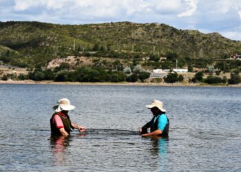 Realizaron estudios biológico-pesqueros en los diques Potrero de los Funes y La Florida