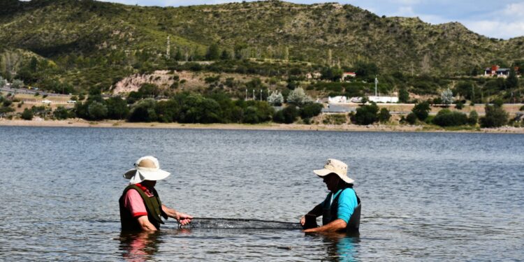 Realizaron estudios biológico-pesqueros en los diques Potrero de los Funes y La Florida