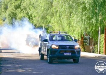 Operativos de fumigación