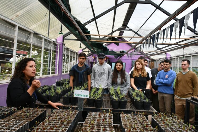 El Ecoparque Cruz de Piedra recibió a alumnos de la Facultad de Ingeniería y Ciencias Agropecuarias de Villa Mercedes