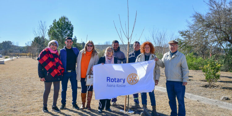 Rotary Club plantó decenas de fresnos por Día Mundial del Árbol