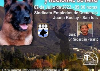Se realizará este domingo un torneo Nacional de la raza Ovejero Alemán