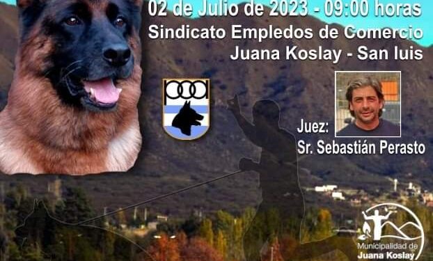 Se realizará este domingo un torneo Nacional de la raza Ovejero Alemán