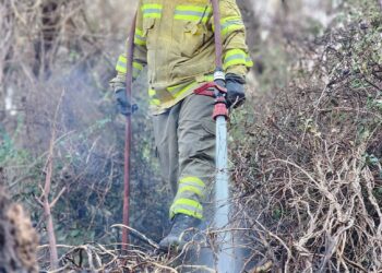 Incendio en Potrero podría ser intencional