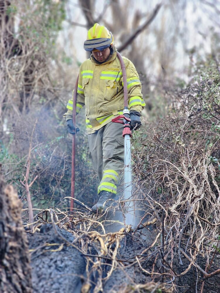 Incendio en Potrero podría ser intencional