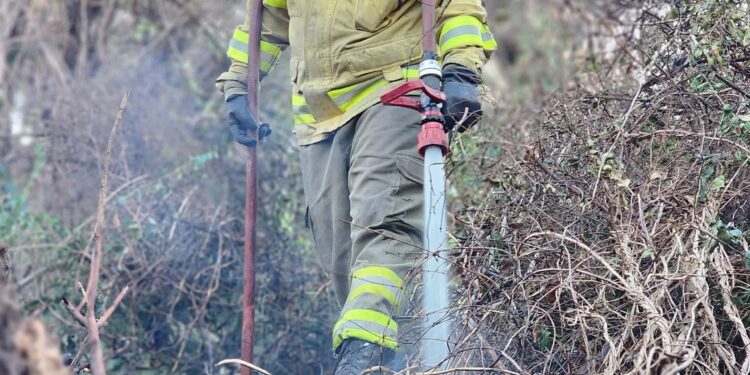 Incendio en Potrero podría ser intencional
