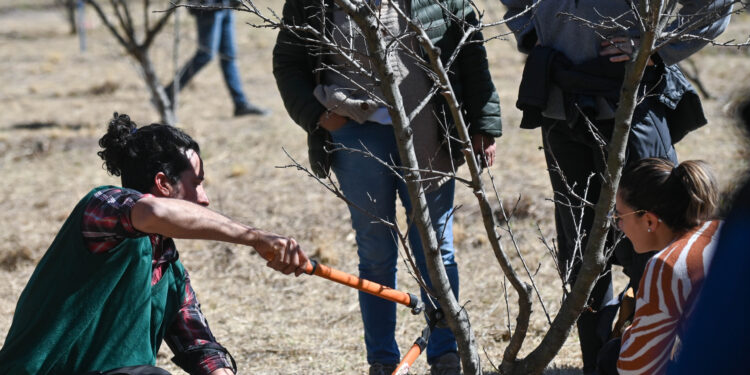 El ecoparque Cruz de Piedra brindó una capacitación de poda de frutales
