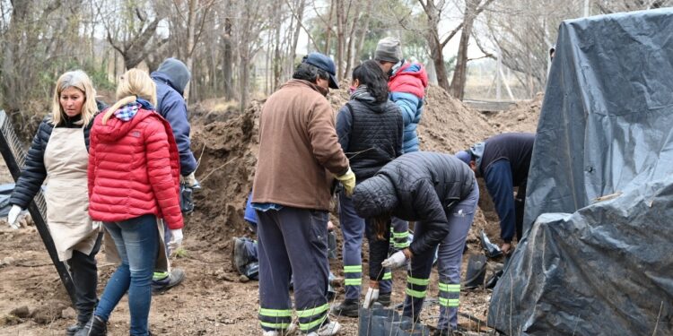 El Ecoparque Cruz de Piedra comenzó con el envasado de fresnos