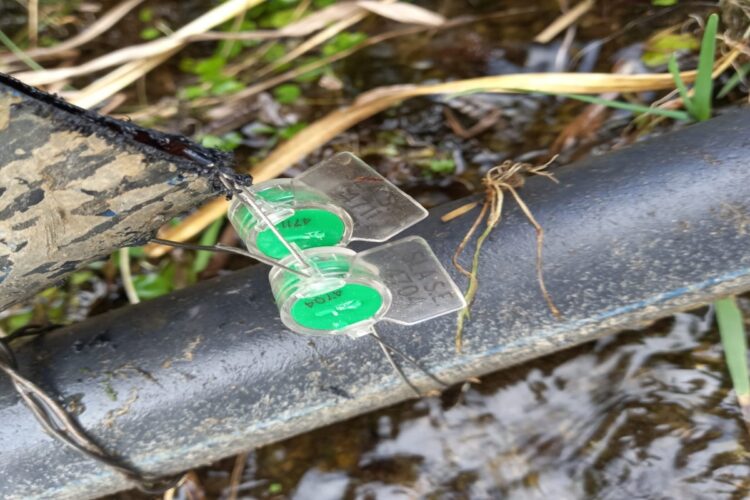 Detectaron una nueva conexión clandestina en Potrero de los Funes