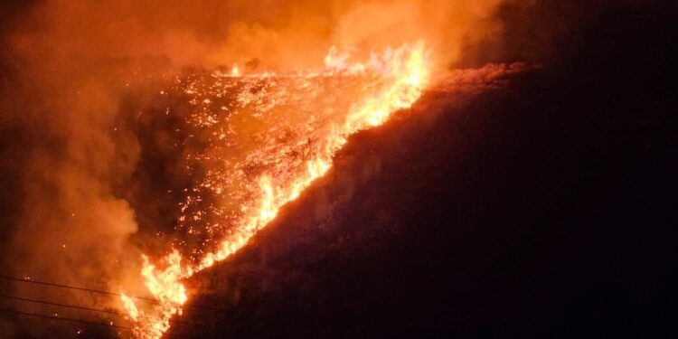 Damián Gómez, intendente de Potrero, sobre el incendio: “Lo prendieron con intención”