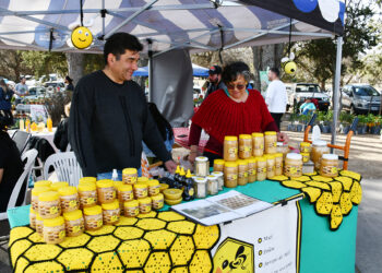 Feria de Pequeños y Medianos Productores: “Esto es una vidriera, es hacerse conocer”