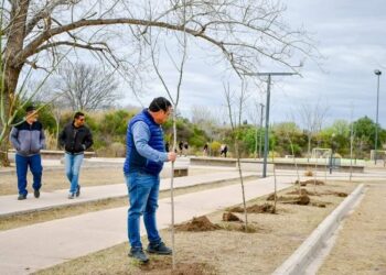 Plan de forestación en Juana Koslay