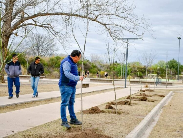 Plan de forestación en Juana Koslay