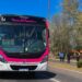 El transporte interurbano será gratuito este domingo Publicado 20 de octubre, 2023