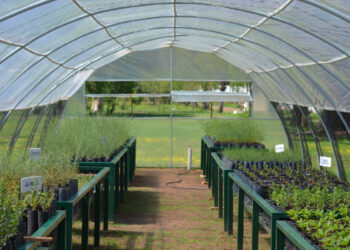 El Gobierno de San Luis potencia el funcionamiento de la Red de Viveros Provinciales