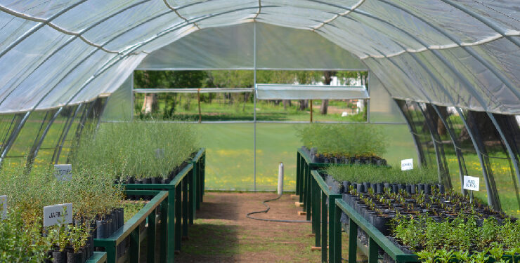 El Gobierno de San Luis potencia el funcionamiento de la Red de Viveros Provinciales