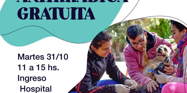 Campaña de vacunación gratuita para mascotas