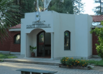 En distintos procedimientos, cuatro hombres fueron detenidos en San Luis y Juana Koslay