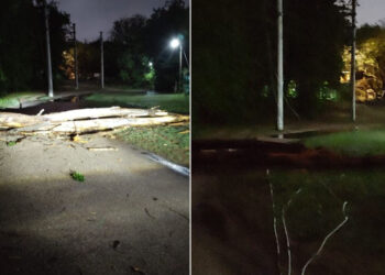 Caída de postes y cables eléctricos cortados por la tormenta