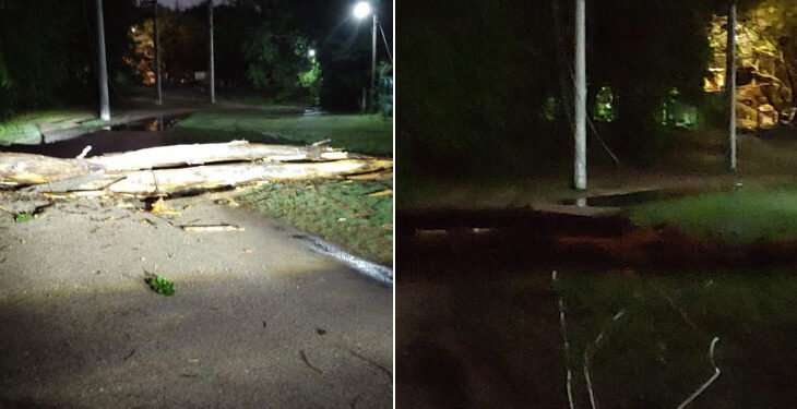 Caída de postes y cables eléctricos cortados por la tormenta