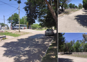 Barrio Jorge Bertín: vecinos piden forestación