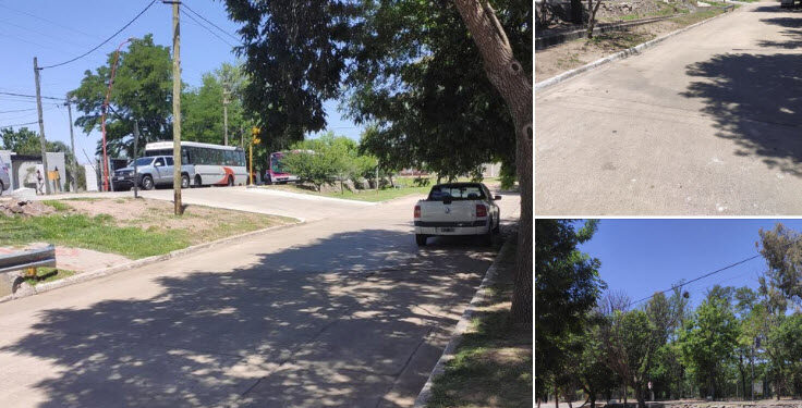 Barrio Jorge Bertín: vecinos piden forestación