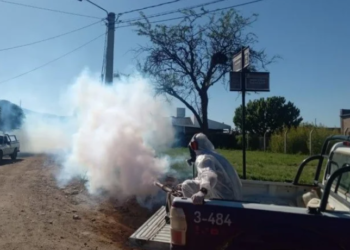 Confirmaron dos nuevos casos de dengue en la provincia: uno es de Juana koslay