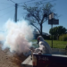 Confirmaron dos nuevos casos de dengue en la provincia: uno es de Juana koslay