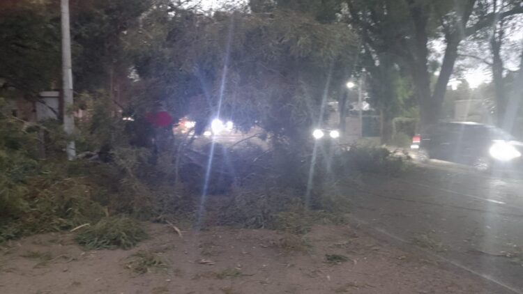 La tormenta destrozó un semáforo en Juana Koslay