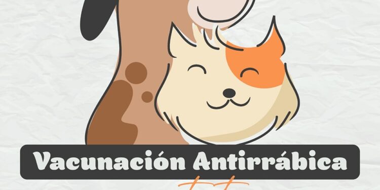 Vacunación de mascotas gratuita en el barrio Malvinas Argentinas
