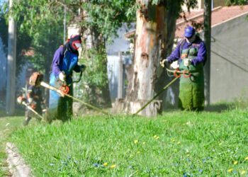 Tareas de desmalezado en distintos barrios