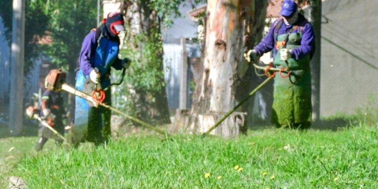 Tareas de desmalezado en distintos barrios