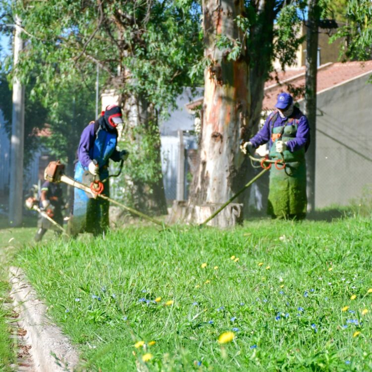 Tareas de desmalezado en distintos barrios