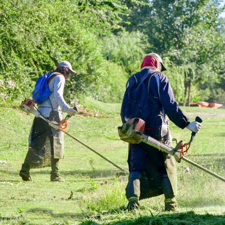 Tareas de desmalezado en distintos barrios