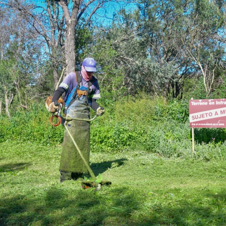 Tareas de desmalezado en distintos barrios