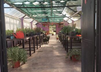 Desde Gobierno dicen que la Eco Granja estaba deplorable…¿pero esto es así?